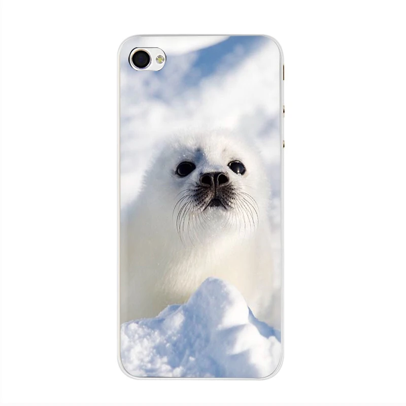Жесткий чехол для телефона EWAU Baby harp Seal Sea Lion чехол для iPhone 5 5S SE 5C 6 6s Plus 7 8 Plus X XR XS 11 Pro MAX