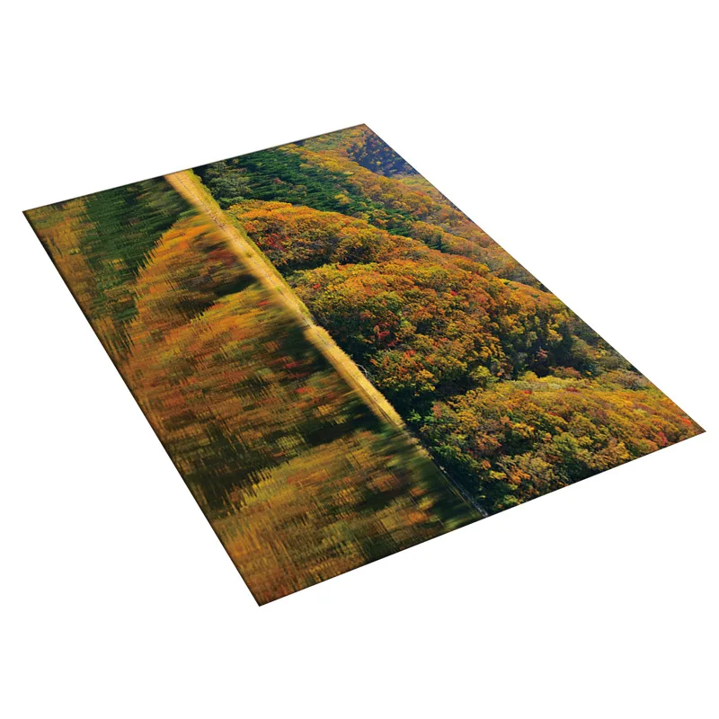 

Zeegle 3D Carpet Rug For Living Room Coffee Table Floor Rugs Non-slip Child Carpet Bedroom Mats Bedside Rugs Kitchen Carpets