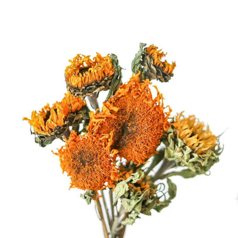 

Promotion Direct Selling 4pcs Dried Flowers Natural Sunflowers Home Wedding Bunch Decor