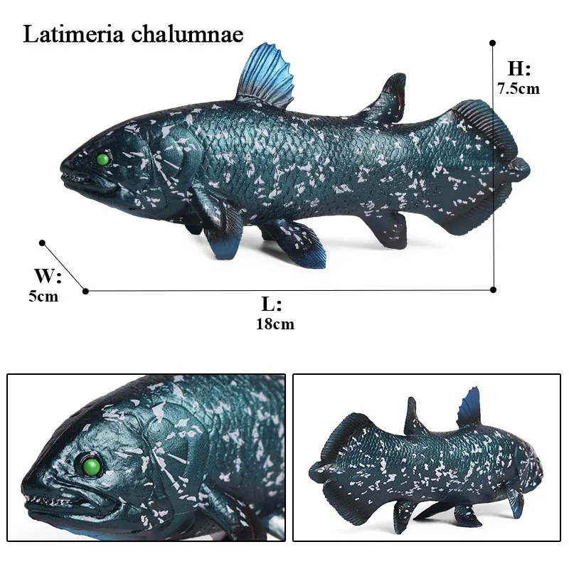 Oenux морские рыбки животные модель моделирование SeaLife Coelacanth Sailfish Фигурки ПВХ аквариум реалистичные Развивающие детские игрушки