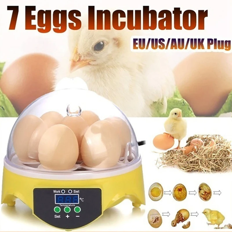 

7 Eggs Temperature Control Incubator Home Mini Automatic Constant Temperature Chicken Duck Poultry Incubator-US Plug