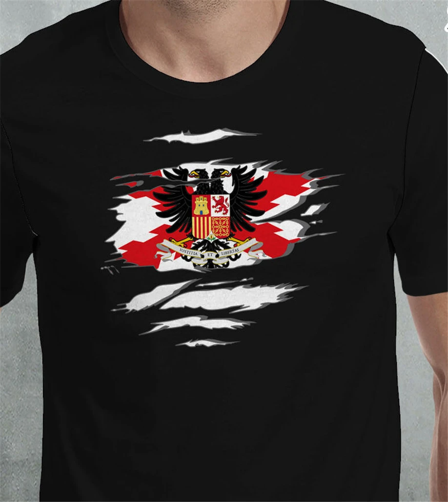 Camiseta Bandera espauna Tercios De Flandes Efecto Desgarrado футболка Веселая дизайнерская