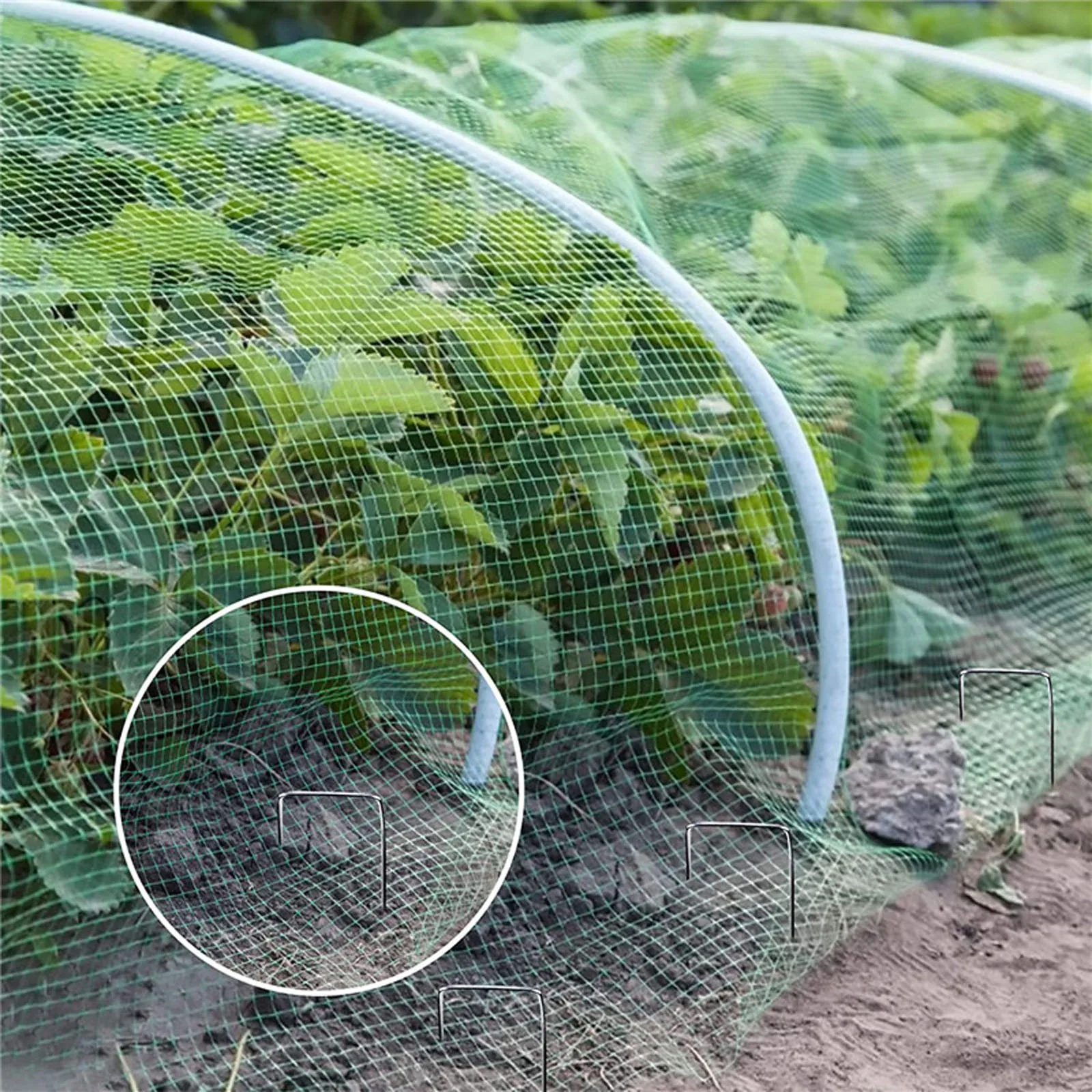 

Garden Netting Green Woven Vegetable Plant Protection Net Insect-proof Net Tie 30 U-shaped Bolts 15 Net Stops Birds Deer Animals