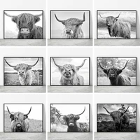 black white highland cow canvas painting wild animals posters and prints cuadros wall art pictures for living room decoration