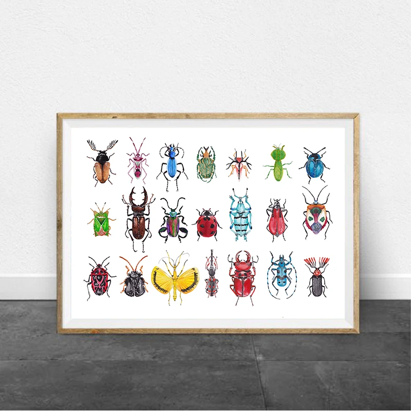 HD печать фотографии дома стены скандинавском стиле насекомых видов постер