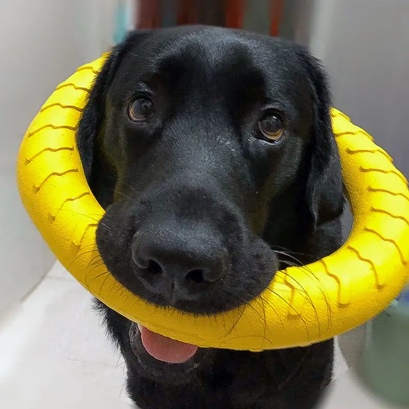 

Dog Toy, Large Dog Interactive Ring, Molar Dog Chew, Relieve Boredom Training,