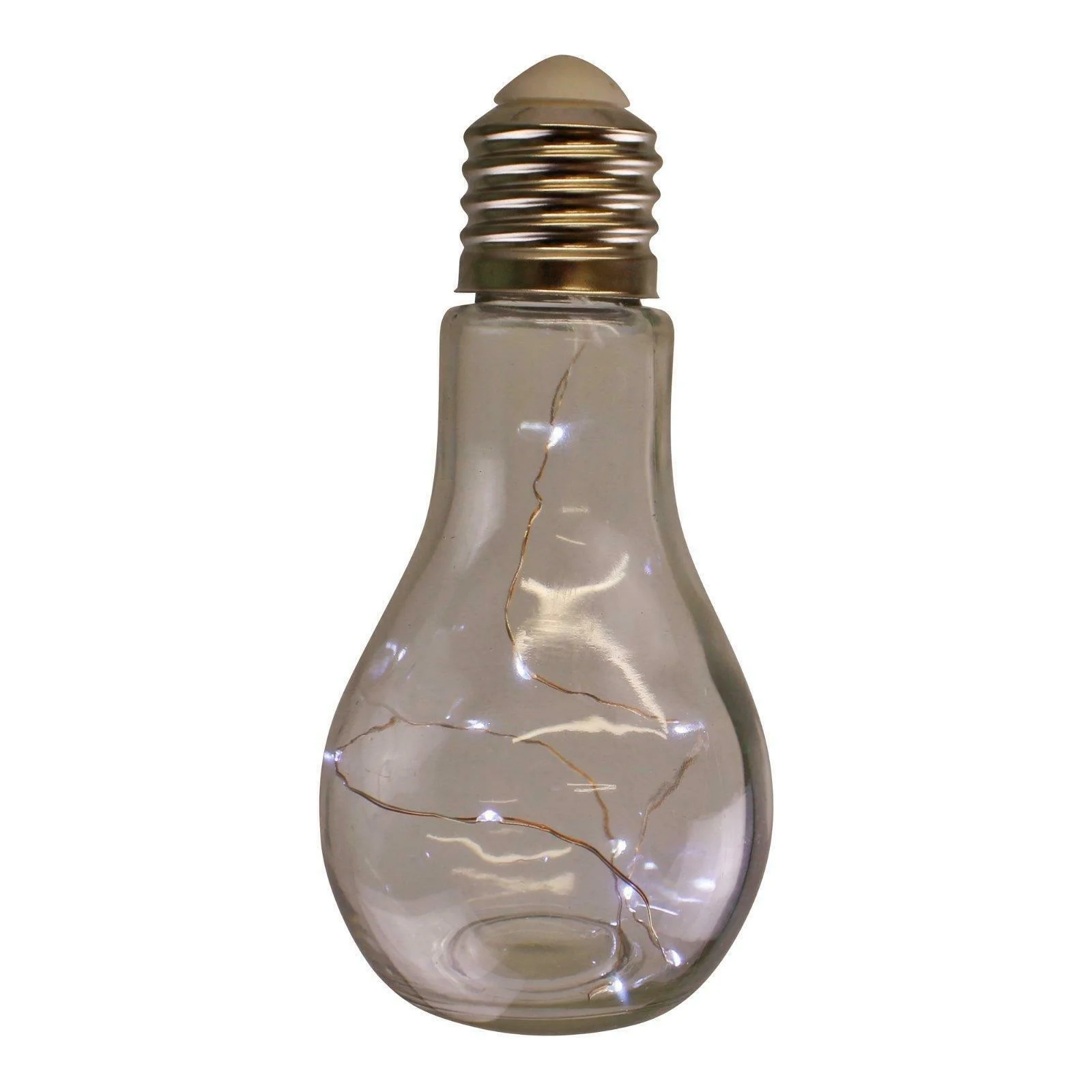 

2021 LED Filled Hanging Glass Lightbulb Light