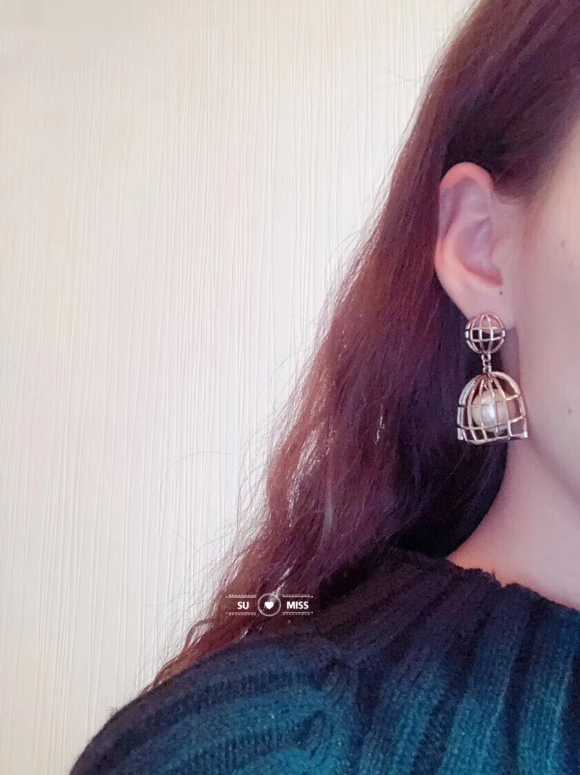 

Free Shipping Korea Geometric Bird Case Design Drop Earrings For Women Minimalism Personality Ear Dangle Oorbellen Gift