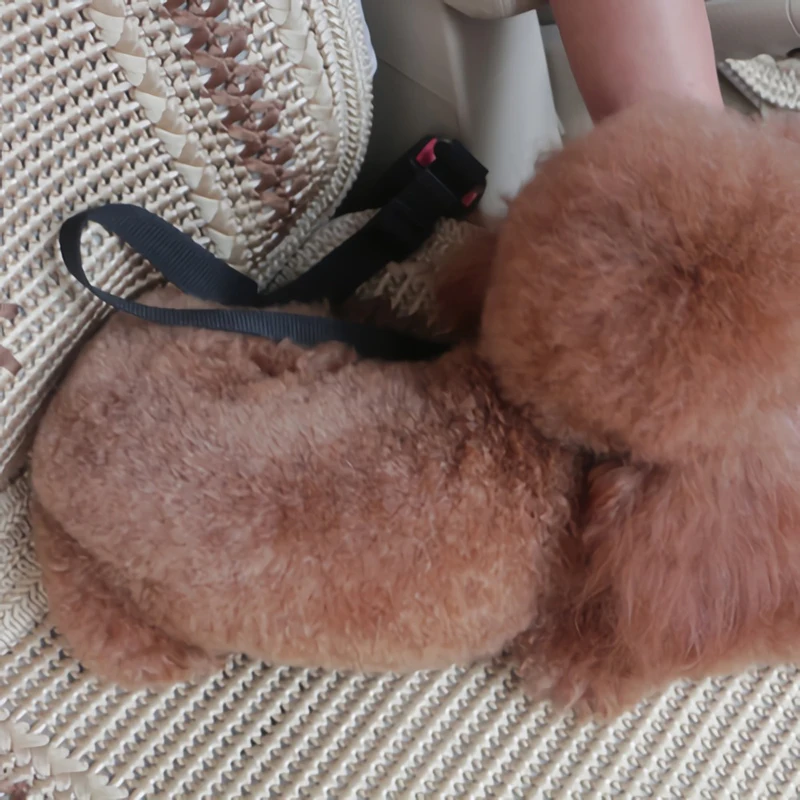 Автомобильный ремень безопасности для домашних животных собак и кошек прочный