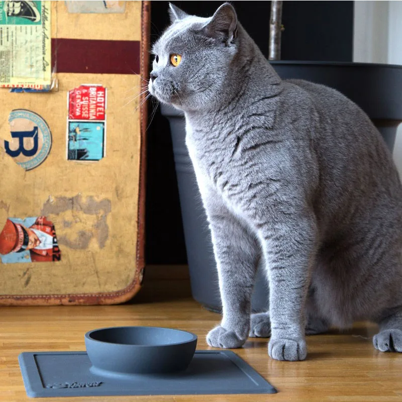 QQQPET коврик для еды домашних животных миска питья кормления собак собаки кошки