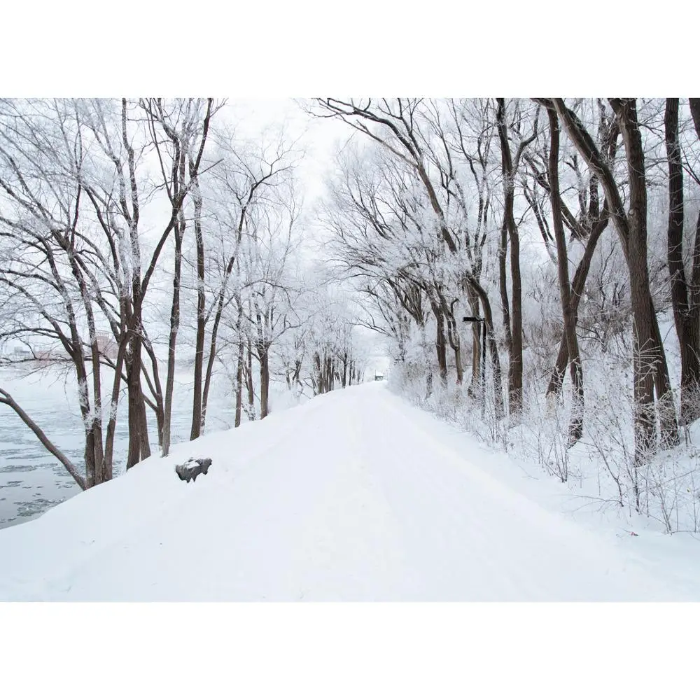 

Vinyl Custom Photography Backdrops Snow Winter Theme Photography Background YA20721-03