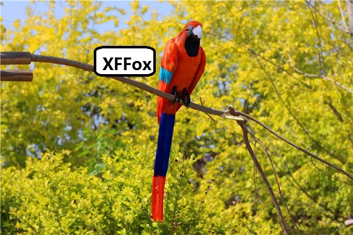 Большая реальная жизнь переворачиваемый попугай Модель Пена и перо оранжевый