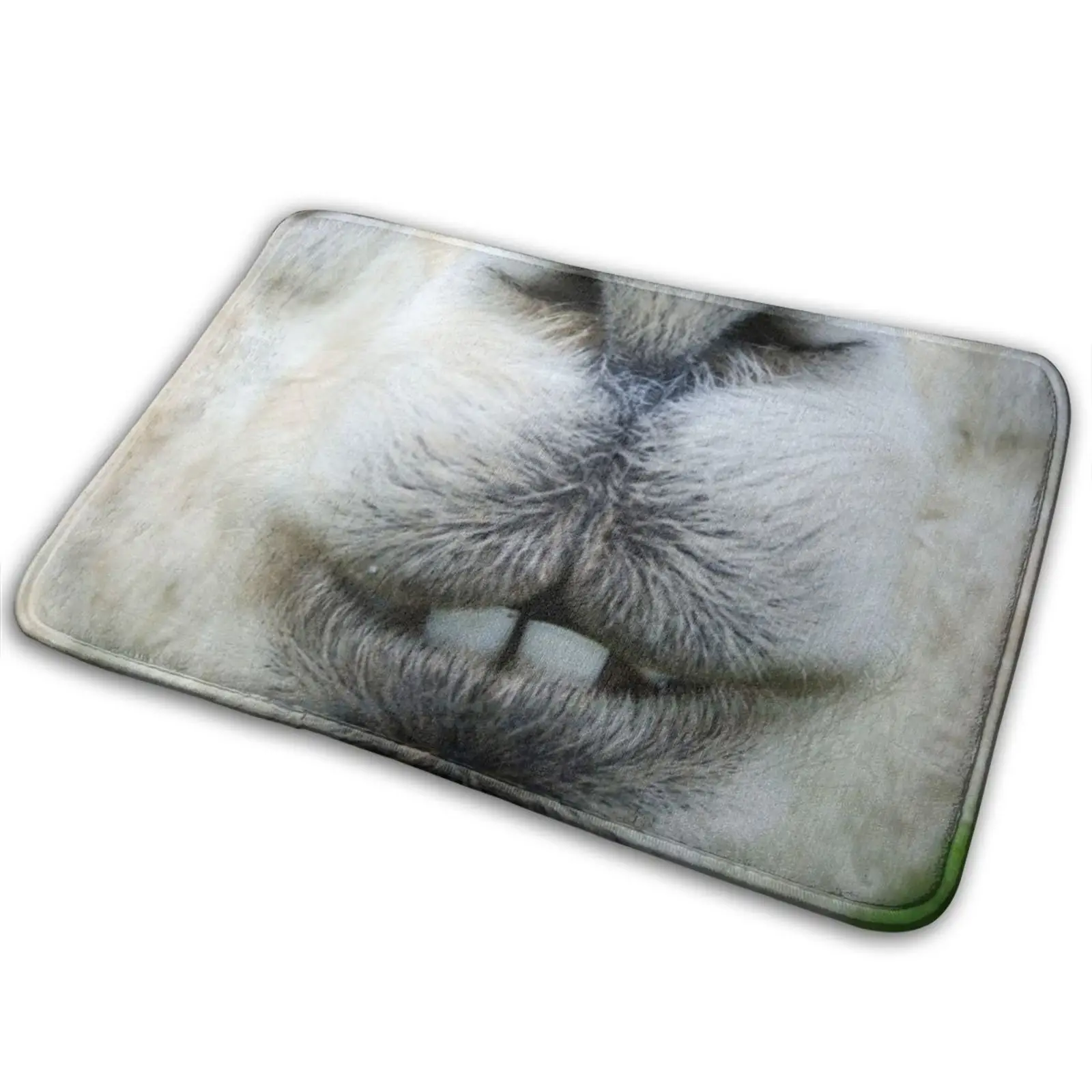 Коврик из альпака коврик Противоскользящий для входной двери в спальню лама с