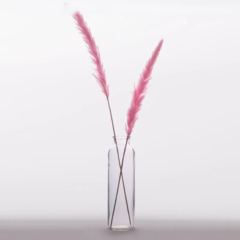7 шт. Bulrush Натуральные Сушеные маленькие пампасы травы Phragmites растения искусственные, свадебные цветы букет домашний Рождественский Декор искусственный цветок