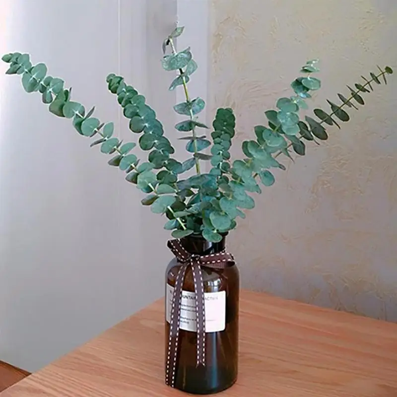 

5pcs Real Dried Eucalyptus Branches,Preserved Fresh Flower Bouquet Nature Green Plant leaves For Garden Home Weddiing Decoration