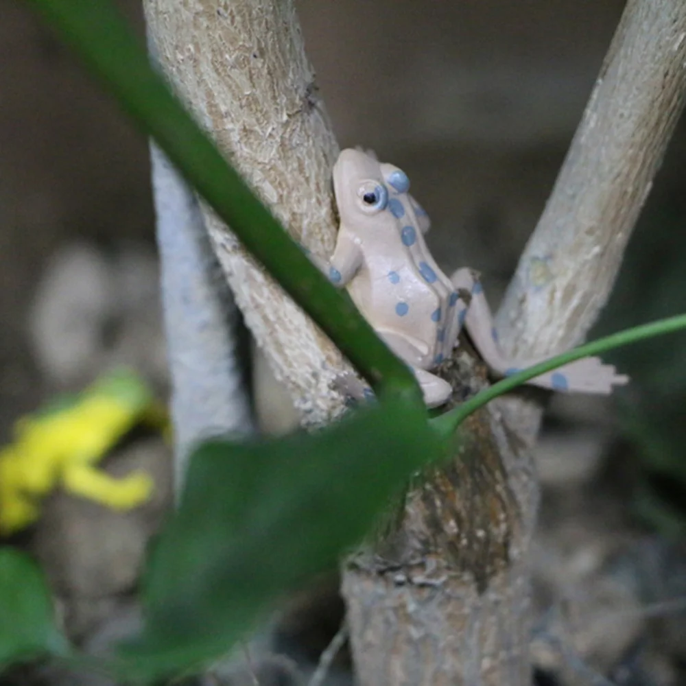 

12pcs Imitation Model Anxiety Relief Relaxation Plaything Simulated Shape Educational Plaything for Kids Children Toddlers