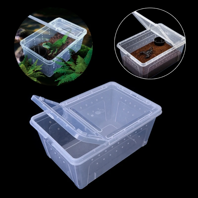 Transparent Plastic Box Insect Reptile Transport Breeding Live Food Feeding for Lizards Tortoise Spider Beetle House | Дом и сад
