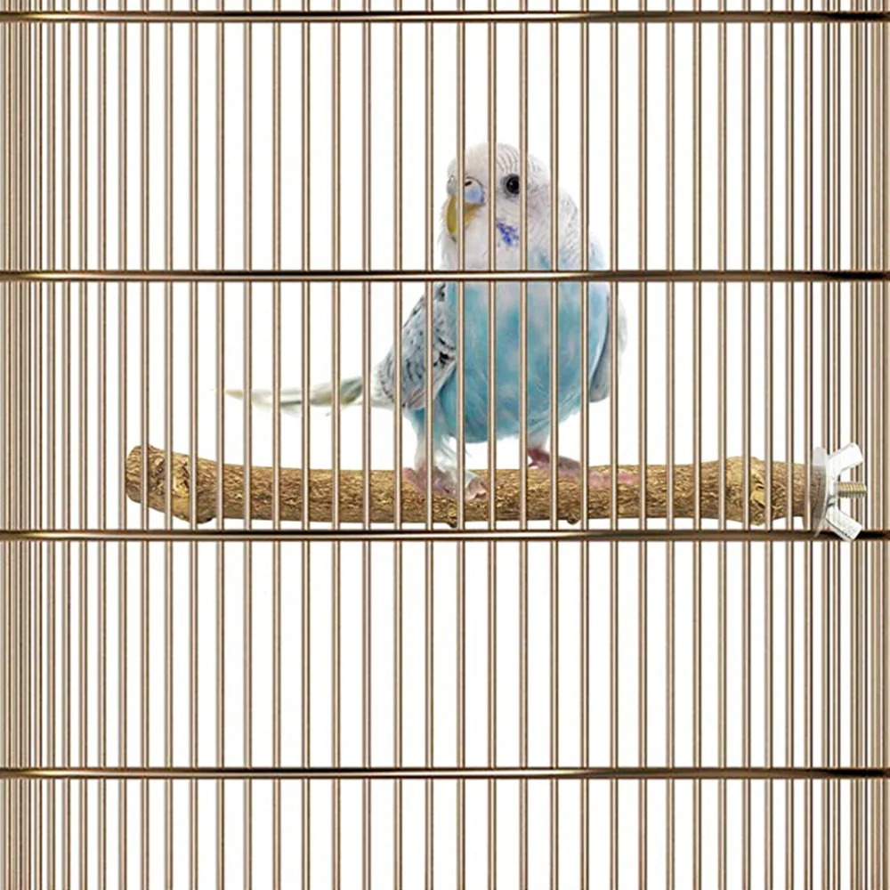 

10pcs Parrot Stand Rack Bird Playing Rack Training Rack (Random Color)