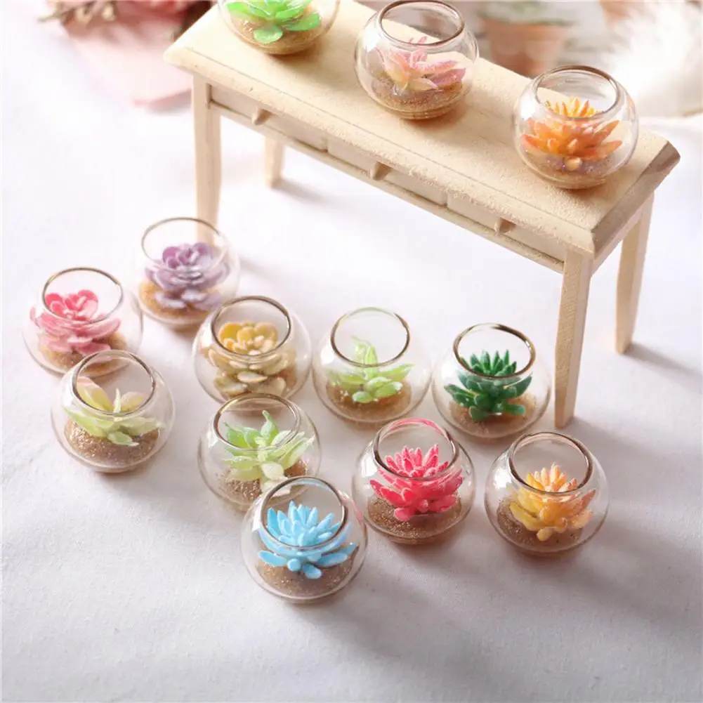 

Dollhouse Mini Succulents Aquarium Potted Plant Random Color Prop Toy Ornament