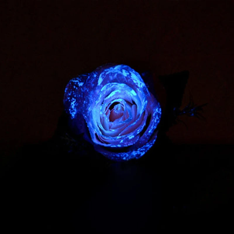 Glow in the Dark Fluorescent Powder Shining for DIY Nail Home Party Decoration 10g Turquoise Phosphor Pigment Luminous |