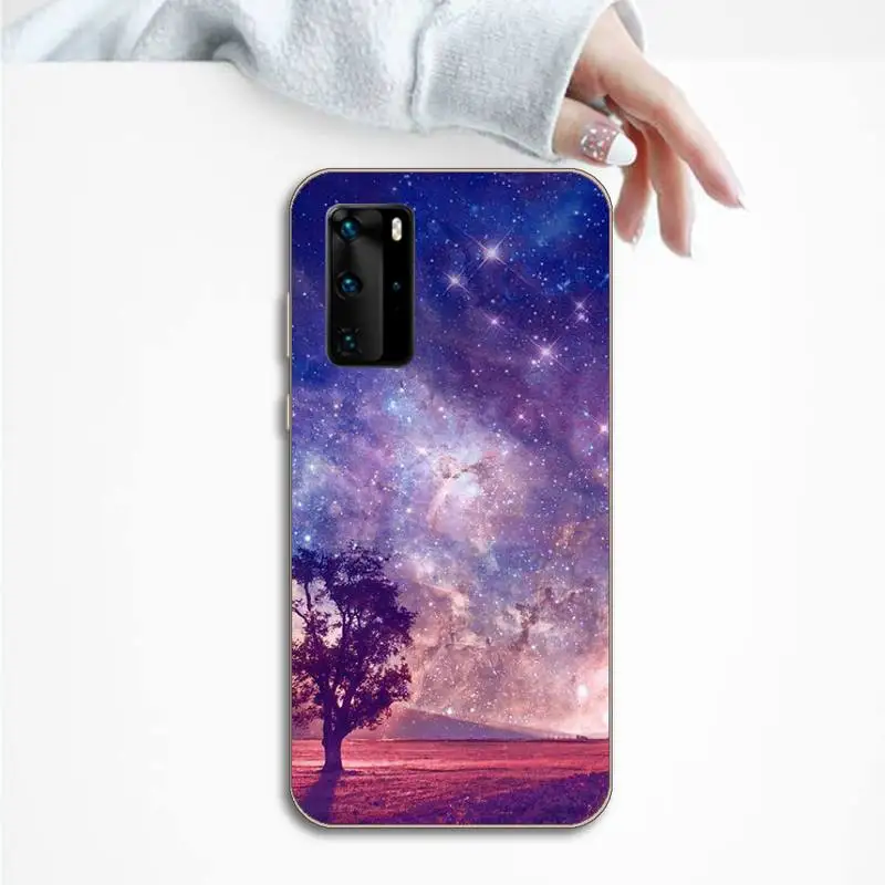 

Phone Case For Huawei P honor 8 10i 20 30 40 smart 2019 love fruit art painting animal pattern flower