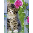 Полноразмерная 5D картина из страз сделай сам, вышивка крестиком, животное, милый котёнок, 3D Алмазная картина, картины стразы, вышивка, узор