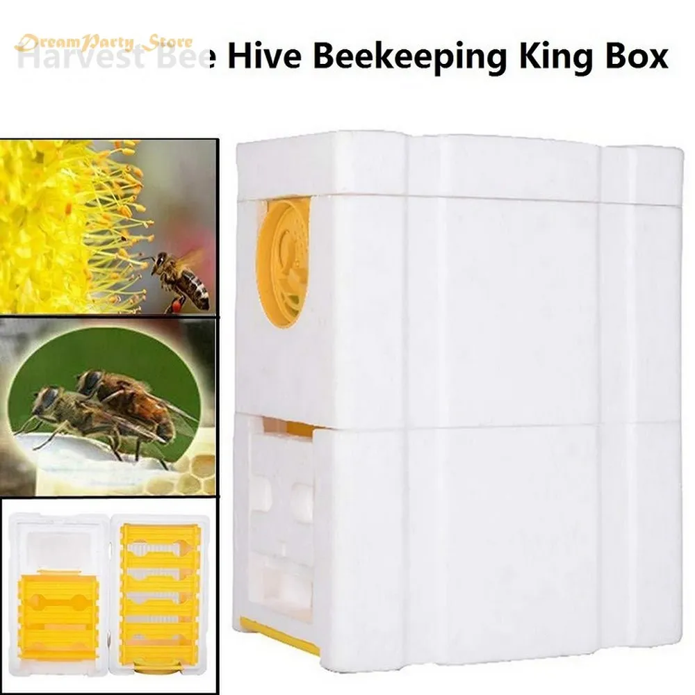 

Bee Hive Beekeeping King Box Pollination Box Foam Frames Beekeeping Tool Kit Harvest Bee Hive Home Hive Case Beekeeper Tools