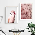 Плакат на холсте с изображением розового попугая, птицы, какаду, животных, настенная живопись, декоративная картина в скандинавском стиле, Современное украшение для гостиной