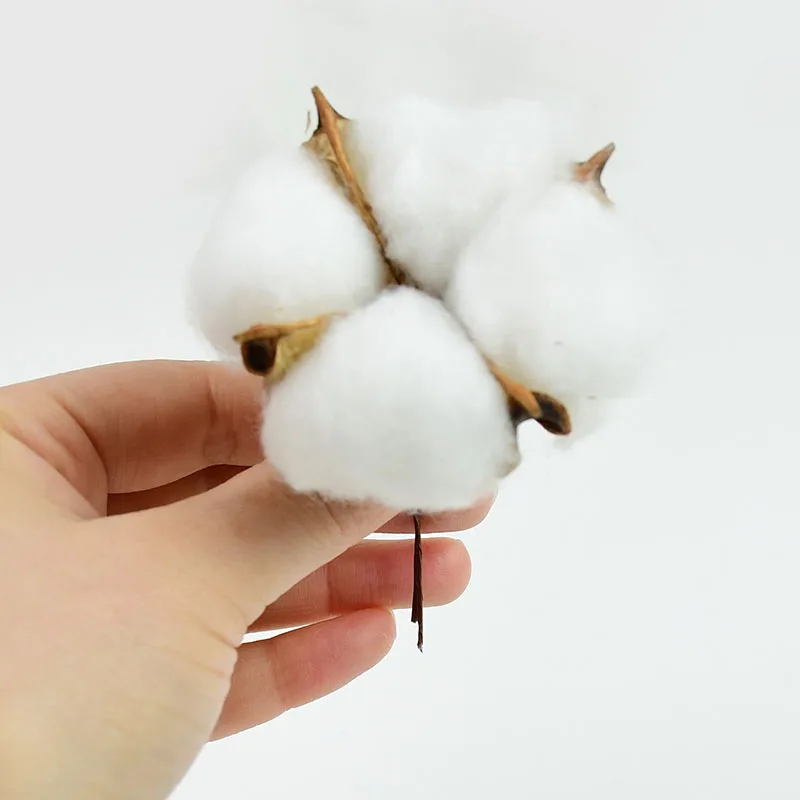 

5/10pcs White Cotton Flowers Decorative Dried Floral DIY Flower Wreath Christmas Garland Accessories for Home Wedding Decoration