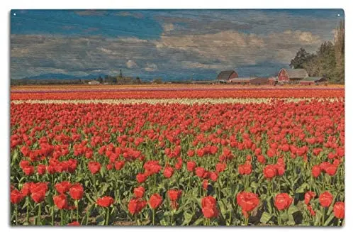 

Metal Sign Tulip Painting Coffee Shop Home Flower Shop Artwork Indoor and Outdoor Wall Decoration Retro Metal Sign 8X12 Inch