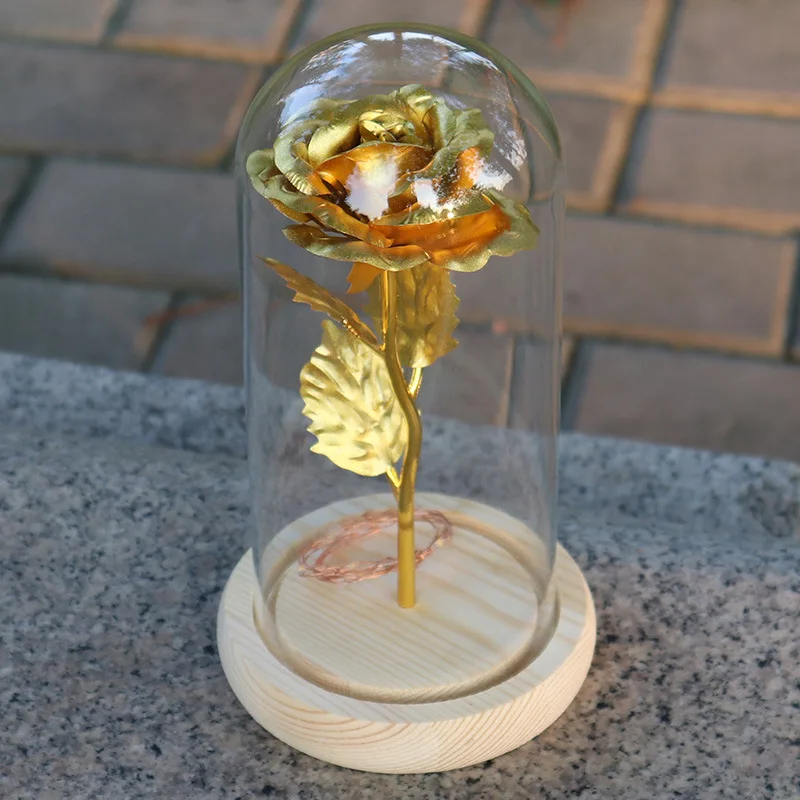 Романтика вечная жизнь цветок Красота и с рисунком из мультфильма Красавица