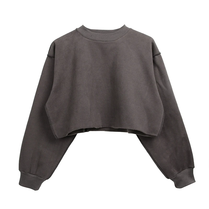 

Women's Sweatshirt Thicken Fleece Sweatshirt Oversized Sweatshirt Za2020 Jagger Sportwear Worm Pullovers Autumn Top Female Mujer