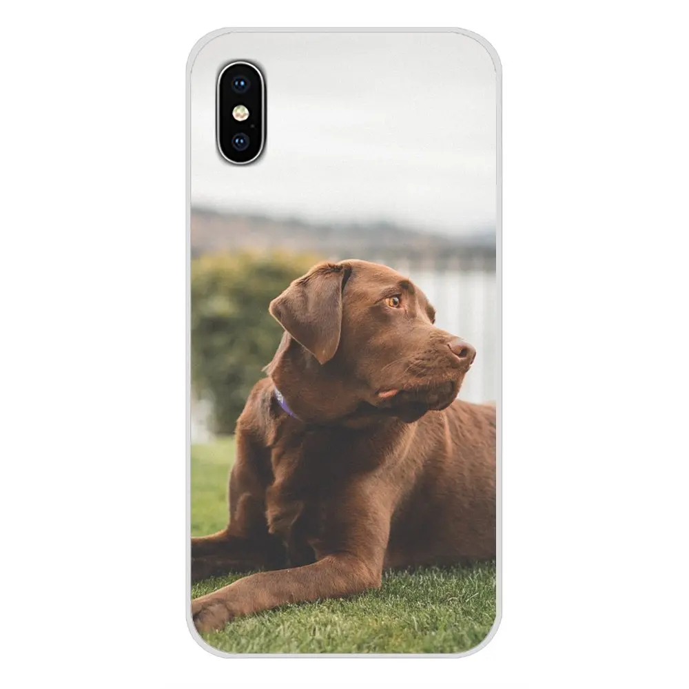 images 4 Прозрачные мягкие чехлы Чехлы забавные Лабрадор собака для huawei G7 G8 P7 P8 P9 P10 P20 P30 Lite Mini Pro P Smart Plus - Цвет: images 4