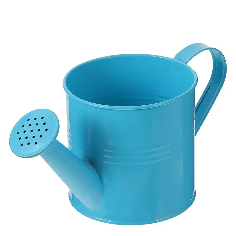 

Indoor Outdoor Watering Can House Bonsai Plants Garden Flower Iron Watering Pot
