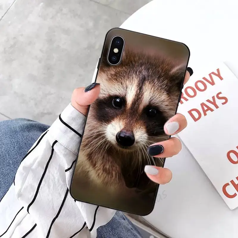 

Lovely animal Raccoon Phone Cases for iPhone 11 12 pro XS MAX 8 7 6 6S Plus X 5S SE 2020 XR