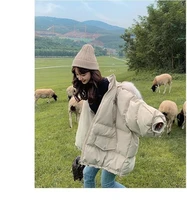 new style cotton padded clothes for fallwinter fashion trend loose and simple korean style hong kong style hooded jacket
