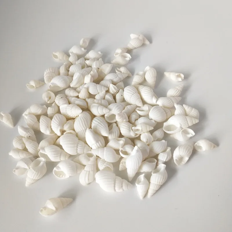50 шт. декоративные ракушки для аквариума морские | Дом и сад