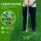 Средство для удаления корней растений из нержавеющей стали