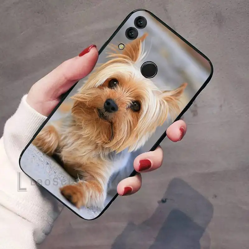 

Cute Yorkshire Terrier dog Phone Case For Huawei Enjoy 7 7s 8 8e 9 9e 10 plus P8lite 2017 Honor 5a view9 play 3e