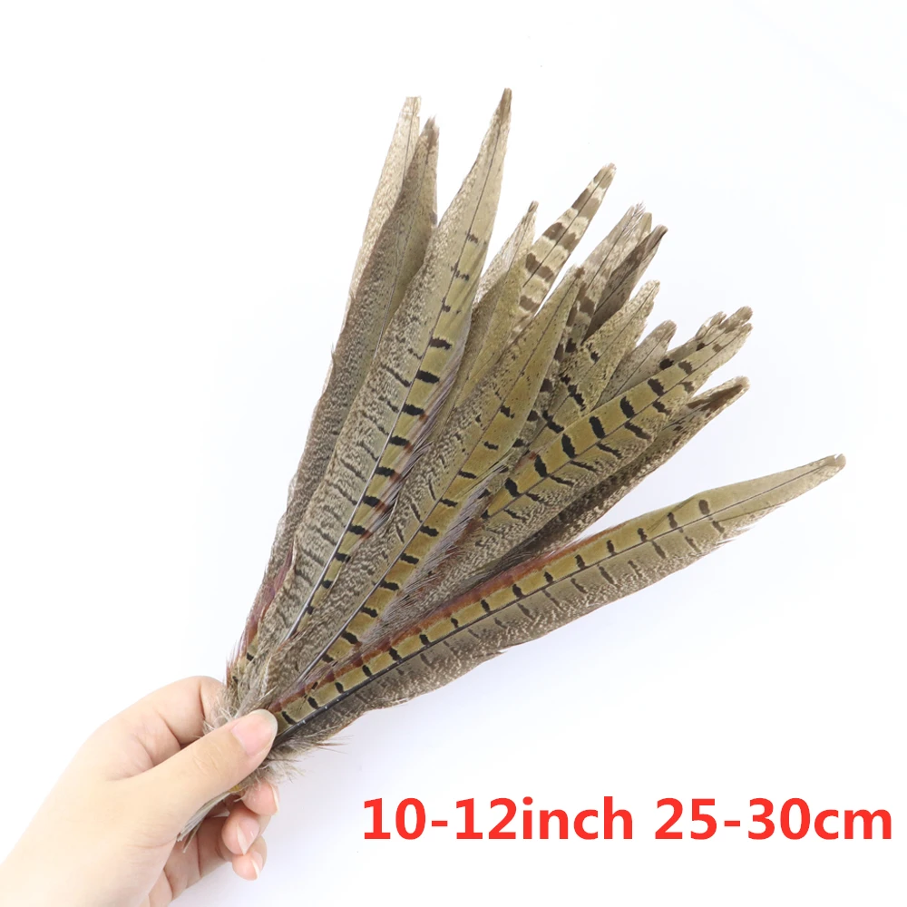 10 шт натуральные Ringneck Перья из хвоста фазана 10-26 дюймов/25-65 см перо для вечерние карнавальные украшение для головного убора шлейф - Цвет: 25-30cm