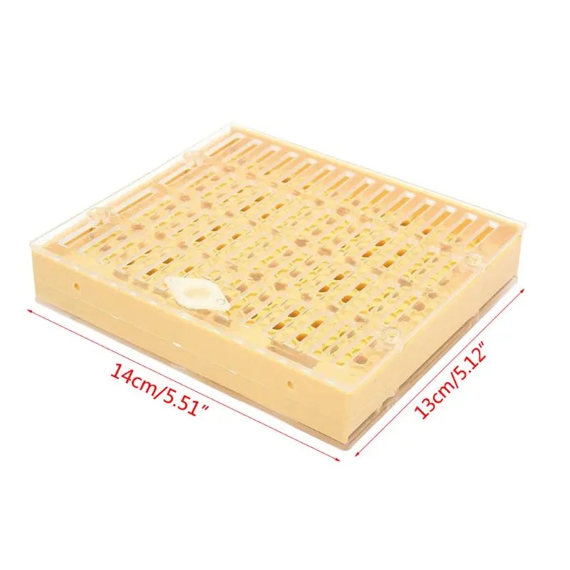 

Beekeeping Case Bee Queen Incubation Box Set Multi Holes Rearing Boxes Kit Apiculture Beekeeping Supplies