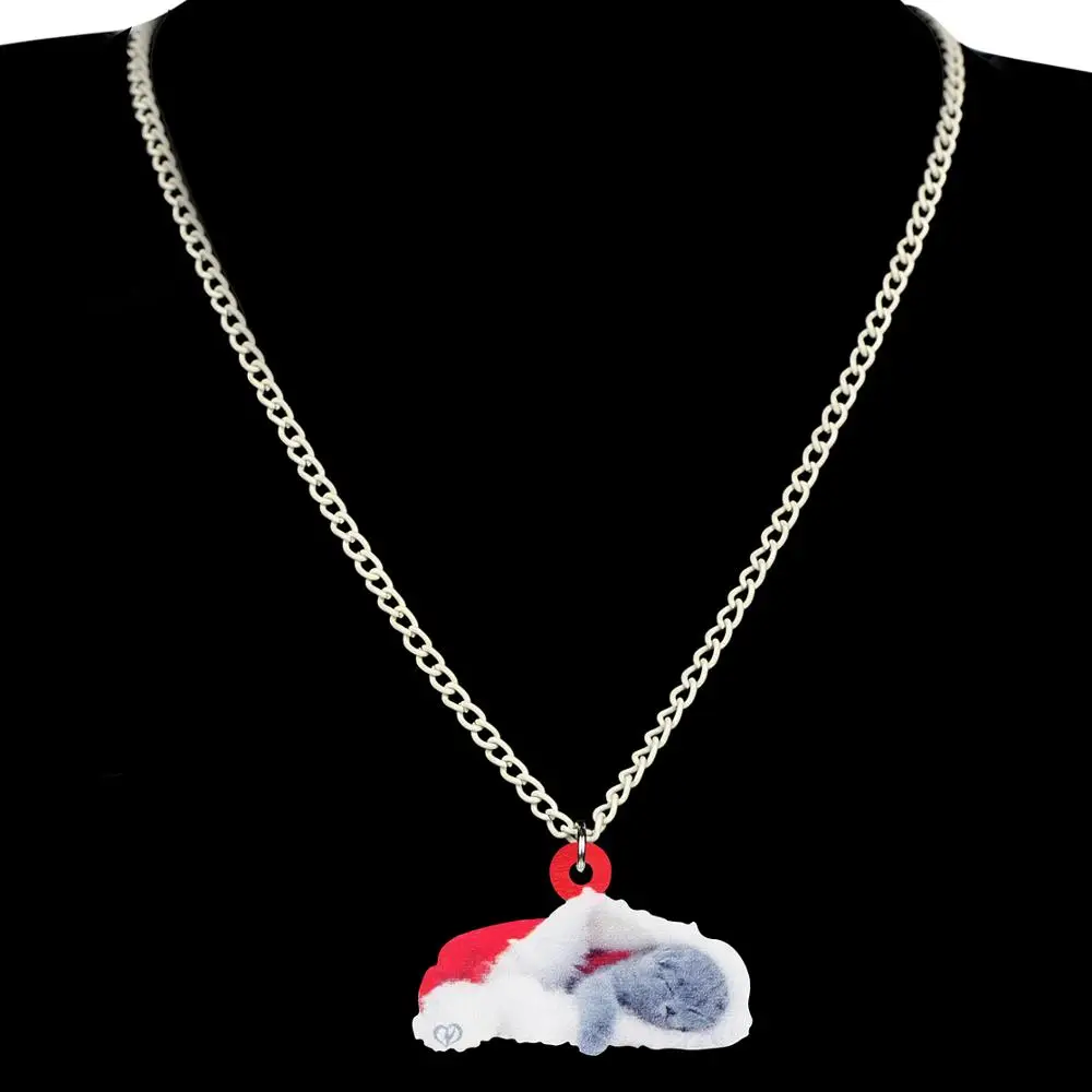 Bonsny Акриловая Рождественская шляпа шотландская Складная кошка Ювелирные наборы