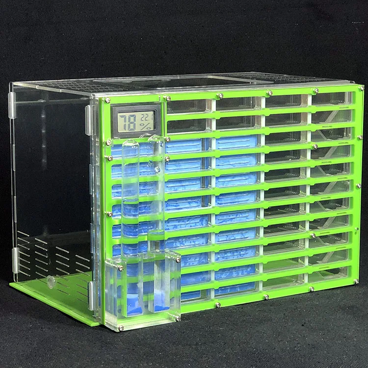 KING SIZE Профессиональный акриловый муравей гнездо большая плоская муравьиная