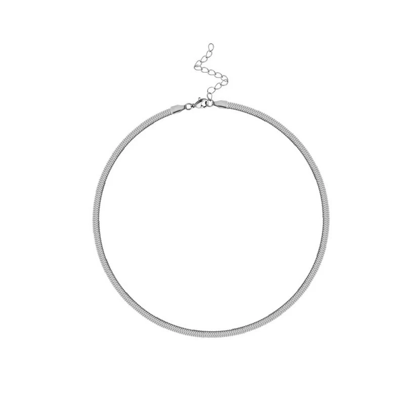 

POTCET Women's Stainless Steel Titanium Steel Necklace Snake Bone Chain Geometric Fashion Hip Hop Party Jewelry