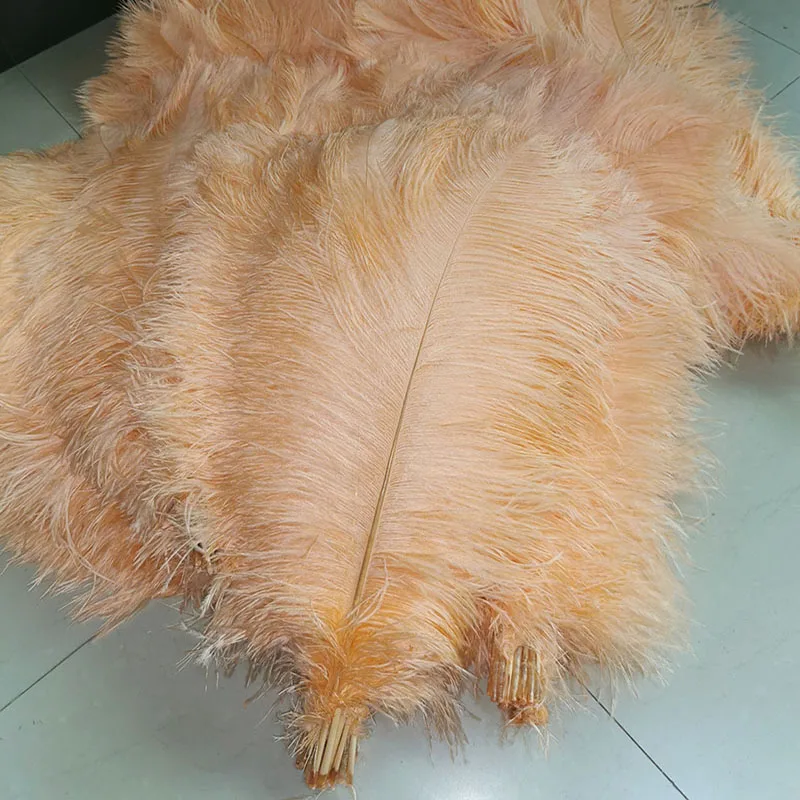 EMS! 100 шт./лот 50-55 см 20-2" Коралловый цвет Высокое качество страусиные перья серое страусиное перо шлейфы