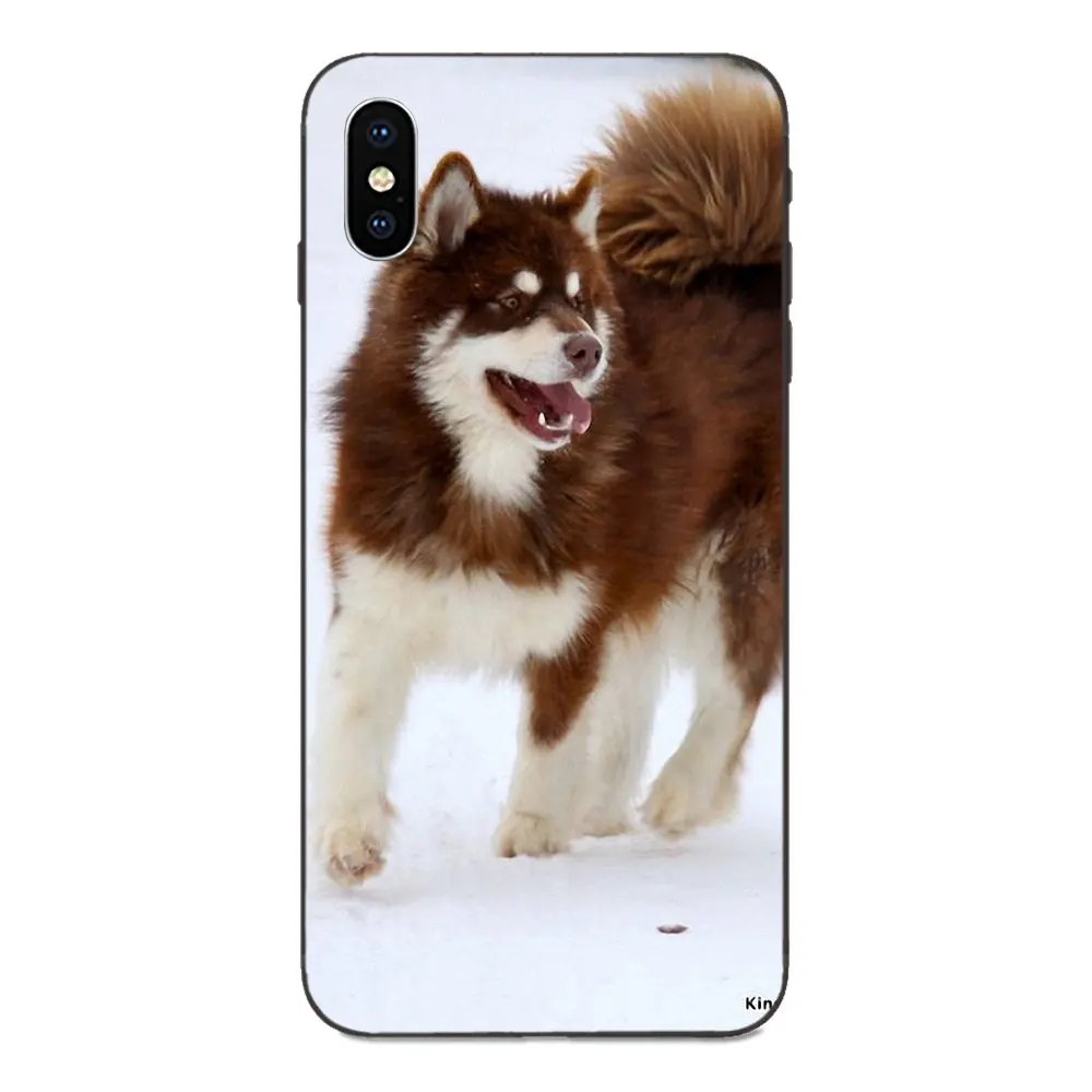 as picture Мягкий чехол для Huawei Honor 5A 6A 6C 7A 7C 7X 8A 8C 8X9 10 P8 P9 P10 P20 P30 Мини Lite Plus самоед милая собака - Цвет: as picture