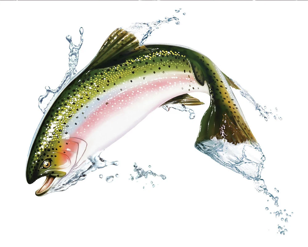 

Beautiful Fish 3d Curtain 3d Animal Modern Curtain Beautiful And Practical 3d Digital Printing Curtains