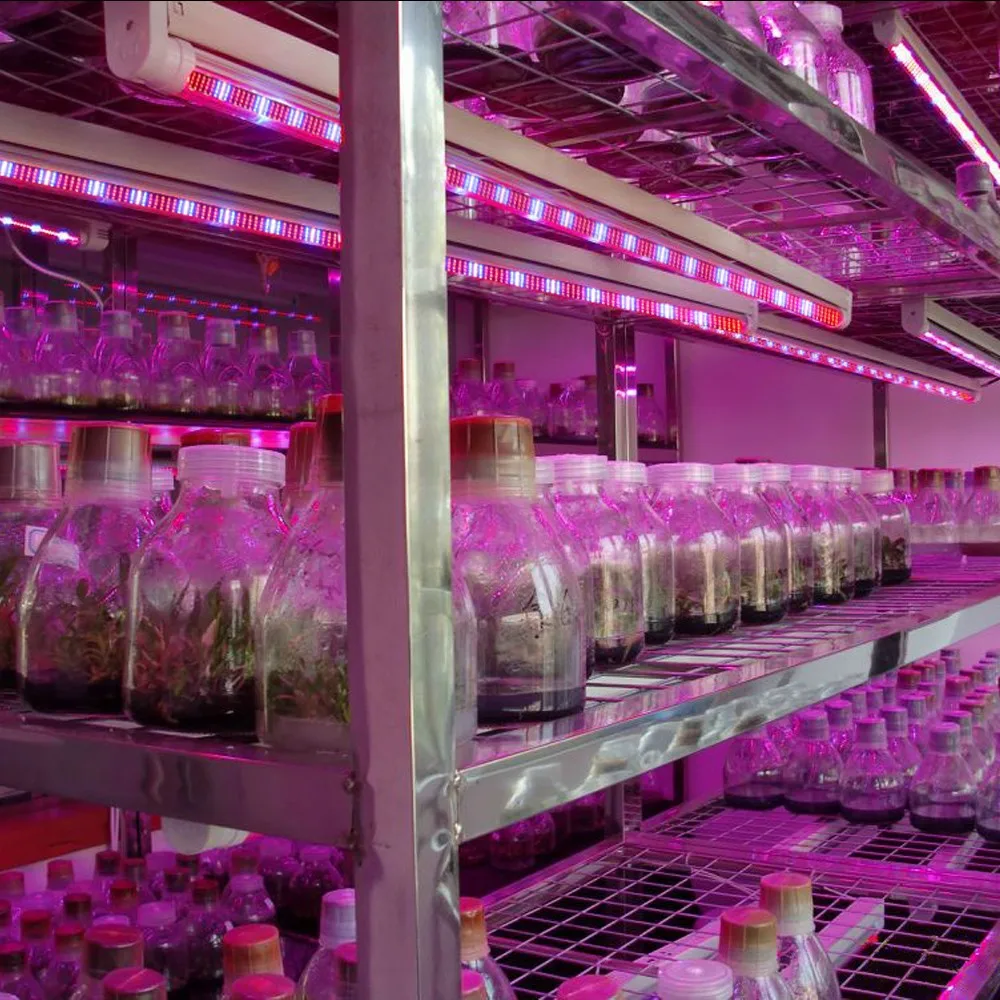 Светодиодная лампа полного спектра для выращивания растений 120 см 10 шт. - купить