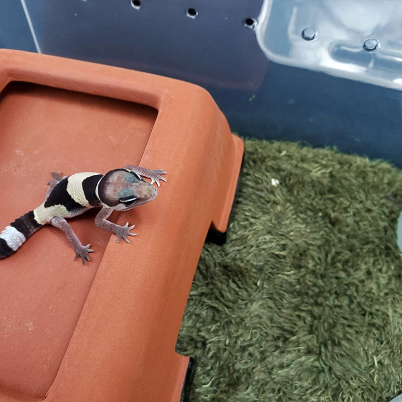 

1pcs climbing pet carpet horned frog cushion material amphibious tortoise cushion material moisturizing fake lawn J7A8151