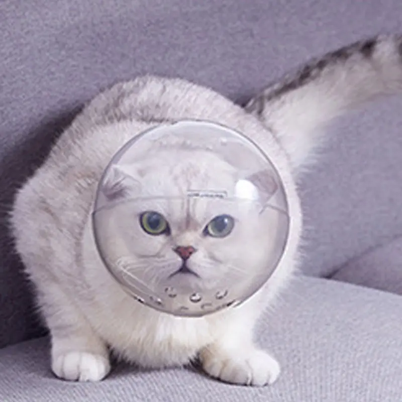 

Маска для ухода за кошачьим носом, банное приспособление для красоты, дорожный инструмент, компактное покрытие, защита от укусов, защита от ...